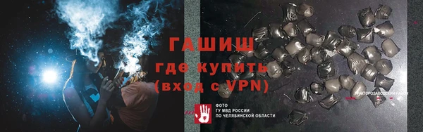 хмурый Алексин
