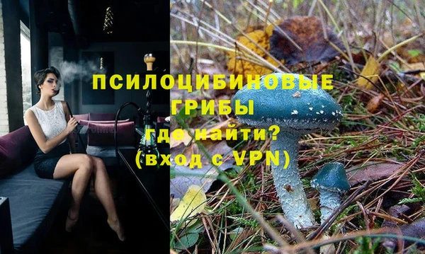бутират Алексеевка