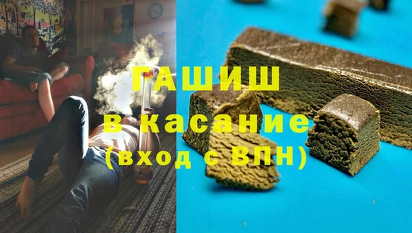 хмурый Алексин