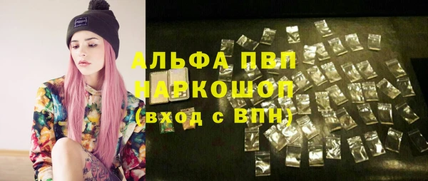 хмурый Алексин