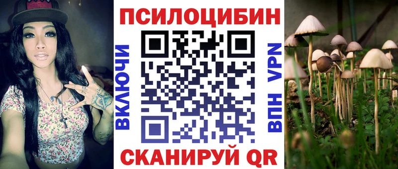 Псилоцибиновые грибы прущие грибы  что такое наркотик  Порхов 